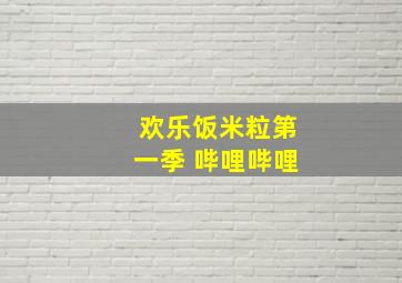 欢乐饭米粒第一季 哔哩哔哩